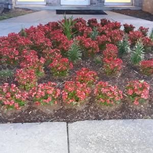 Meet your Posher, Ferman